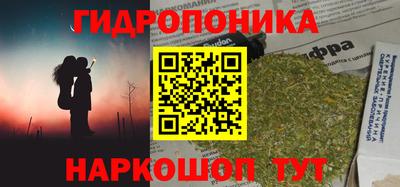 дживик Ачхой-Мартан